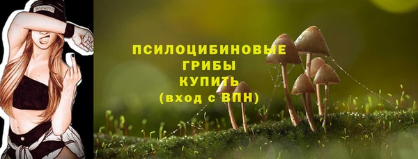 дживик Армянск