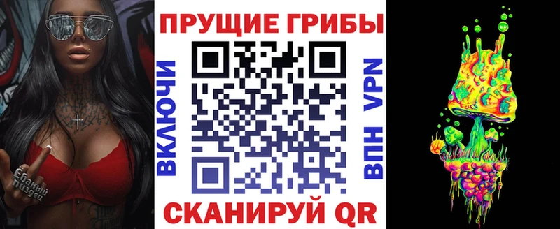 Галлюциногенные грибы Psilocybe  Глазов 