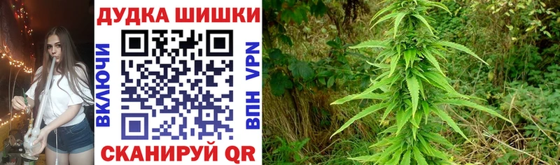 дарнет шоп  Глазов  ОМГ ОМГ как войти  Канабис OG Kush 